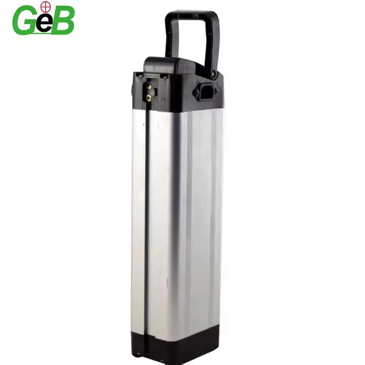 48 V 30AH EBIKE BATTER